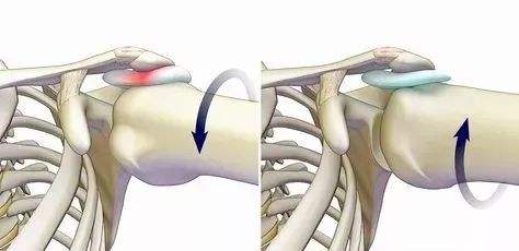微型亚洲国产中文欧美在线人成大黄瓜展示图.jpg 微型亚洲国产中文欧美在线人成大黄瓜展示图.jpg