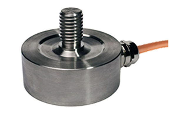 广州亚洲国产中文欧美在线人成大黄瓜